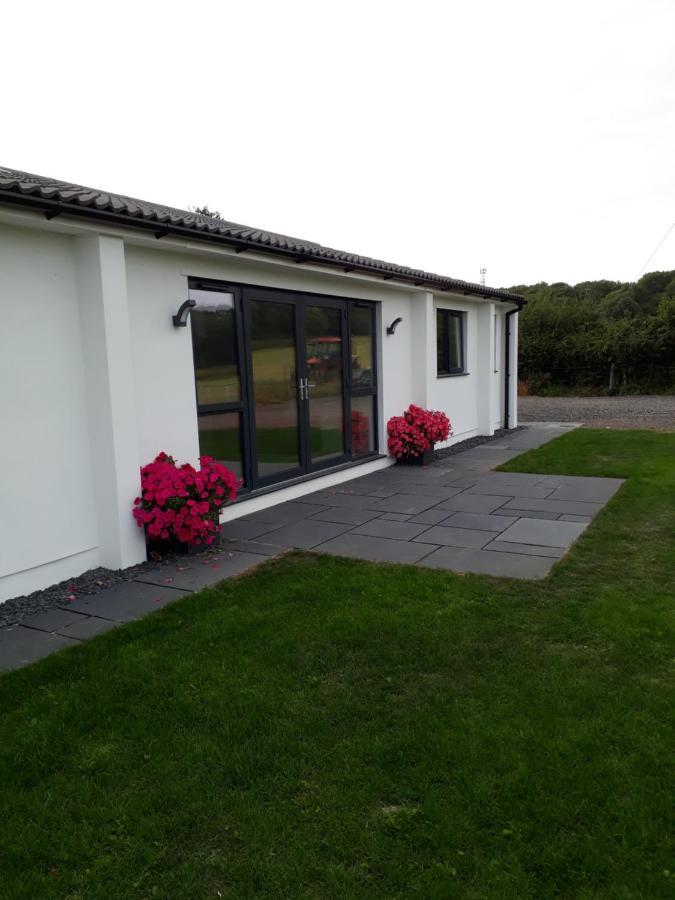 Foxholes Accommodation Felton  Eksteriør bilde